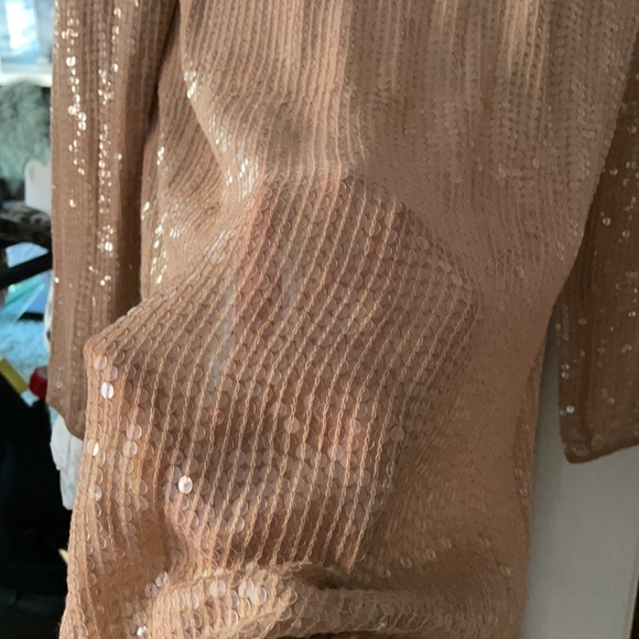 Haute Hippie Sequin Dress - Picture 3 of 6